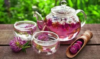 Her Derde Deva Bitki Çayları