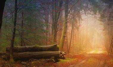 Sonbahar'da Sağlıklı Yaşam İpuçları! Sonbahar'da Sağlıklı Beslenme.