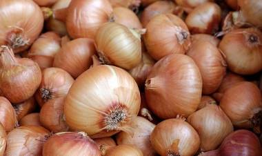 Soğanın Faydaları Nelerdir? Soğan Neye İyi Gelir?